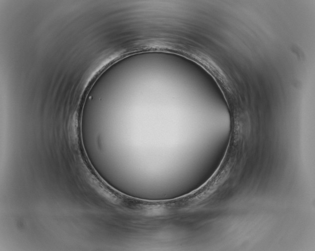 X0000113170798200909041320
