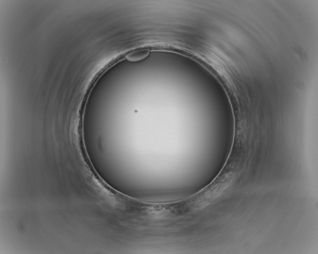 X0000113170799200909041320