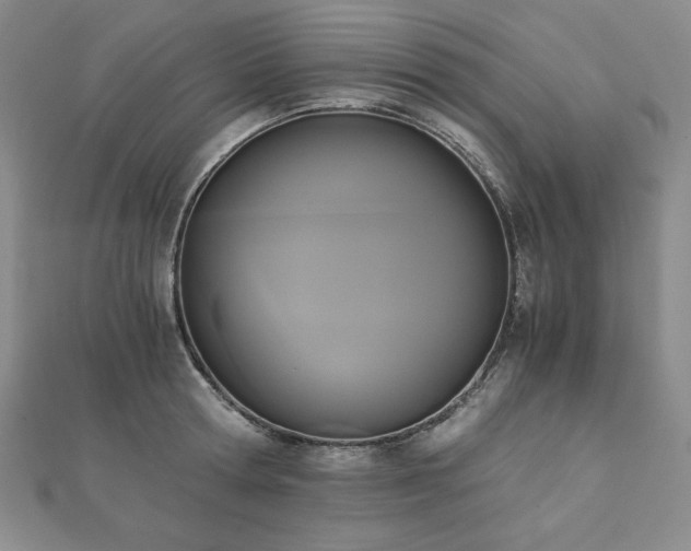 X0000113170802200909041320