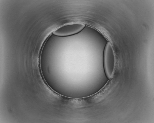 X0000113170805200909041320
