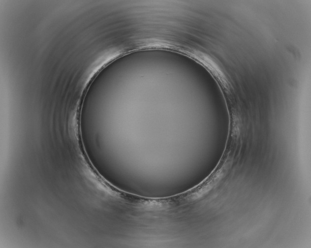 X0000113170806200909041320