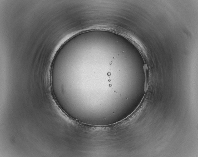 X0000113170808200909041320