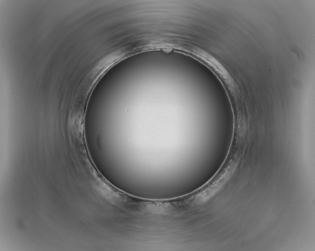 X0000113170809200909041320