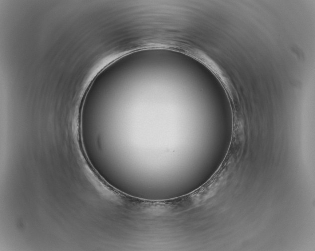 X0000113170811200909041320