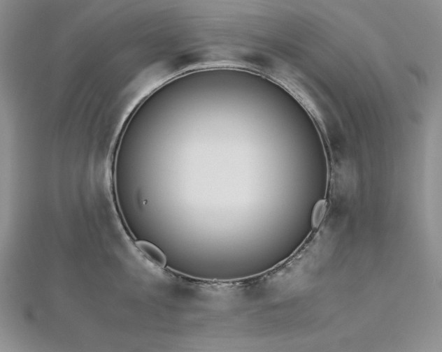 X0000113170813200909041320