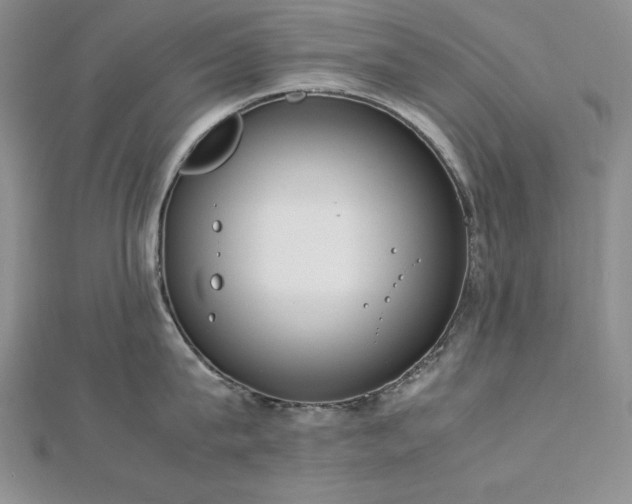 X0000113170815200909041320
