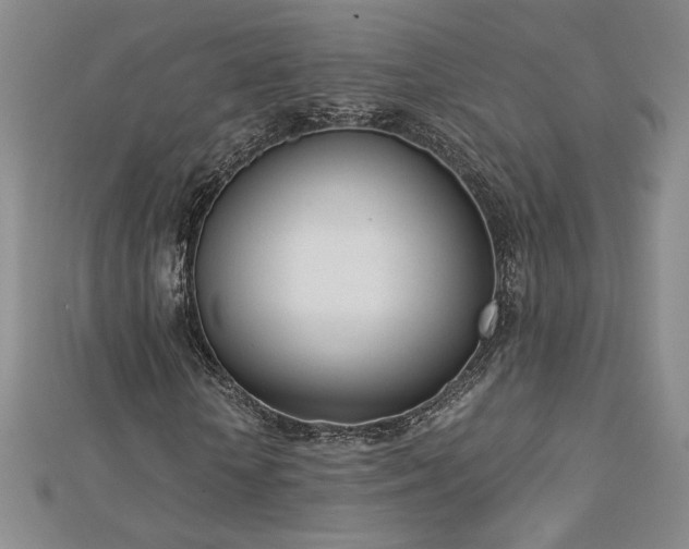 X0000113170818200909041320