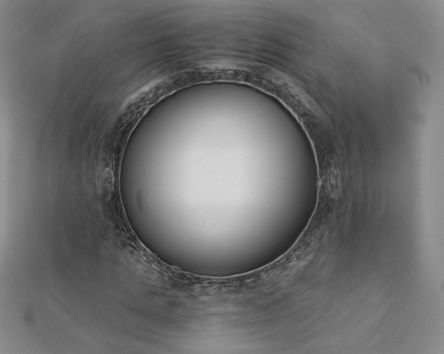 X0000113170821200909041320