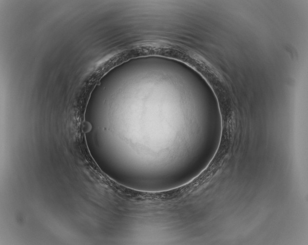 X0000113170822200909041320