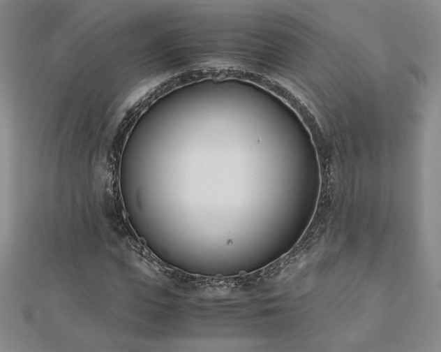 X0000113170823200909041320