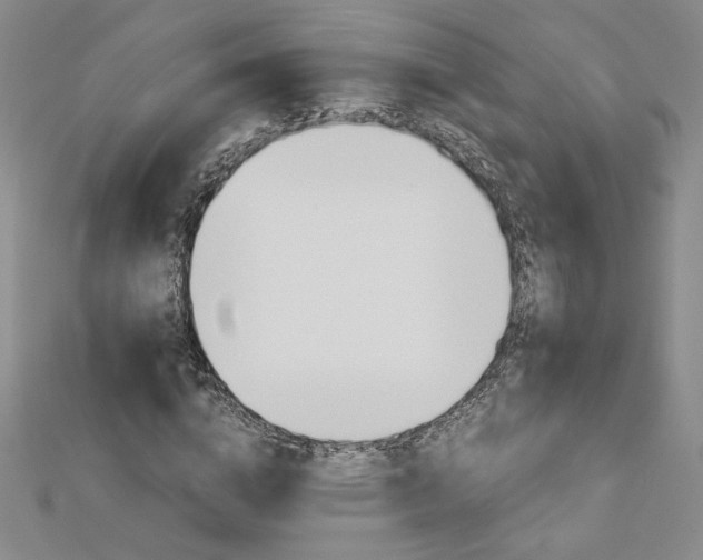 X0000113170824200909041320