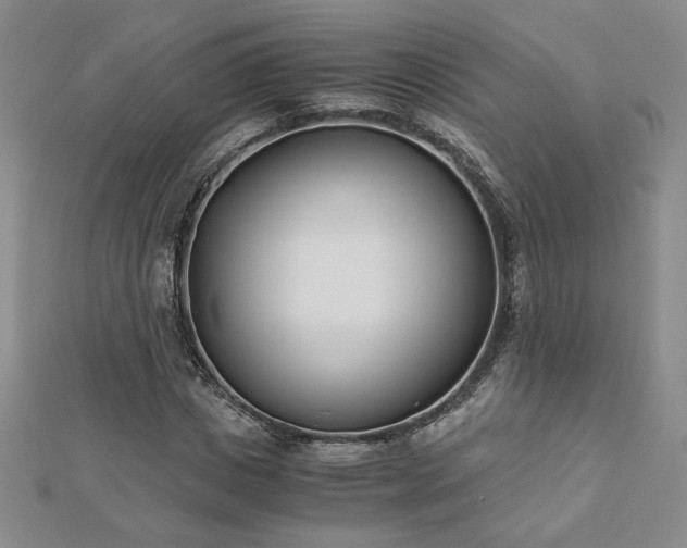 X0000113170825200909041320