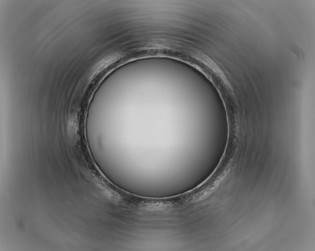X0000113170826200909041320