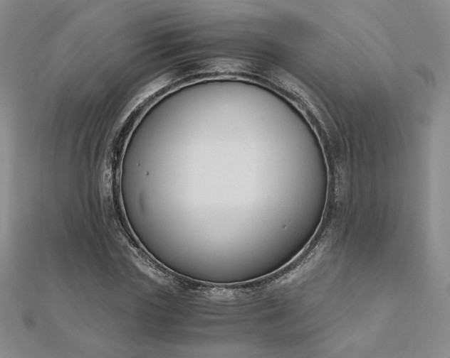 X0000113170827200909041320