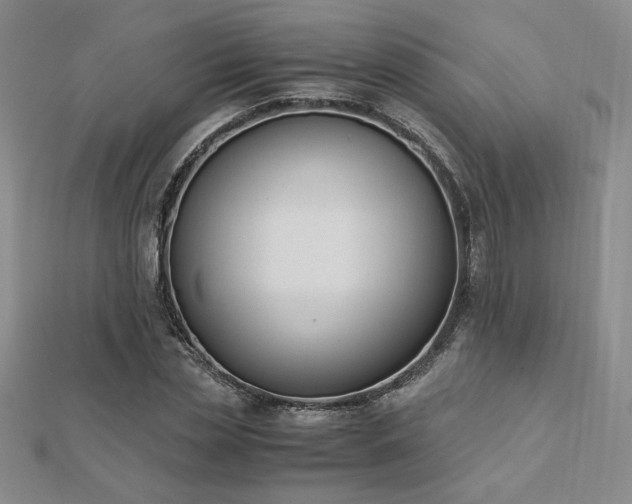 X0000113170829200909041320