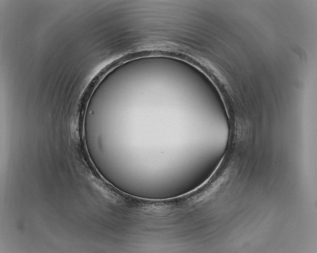 X0000113170830200909041320