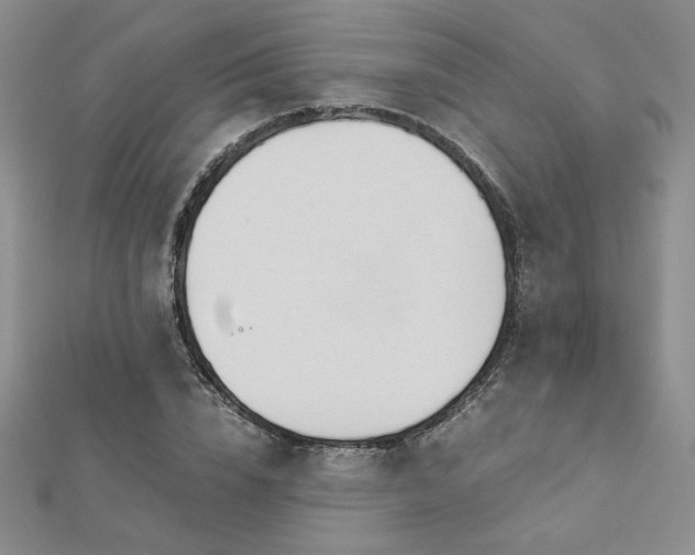 X0000113170832200909041320