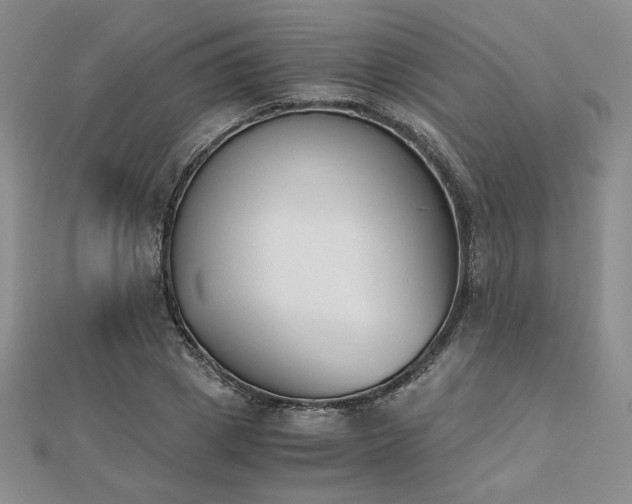 X0000113170833200909041320
