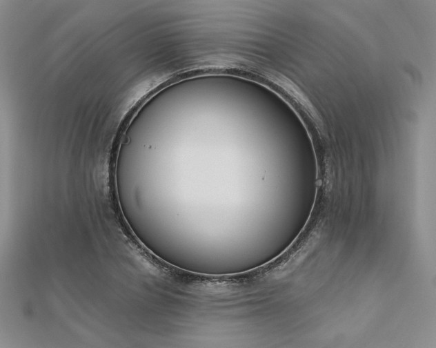 X0000113170834200909041320
