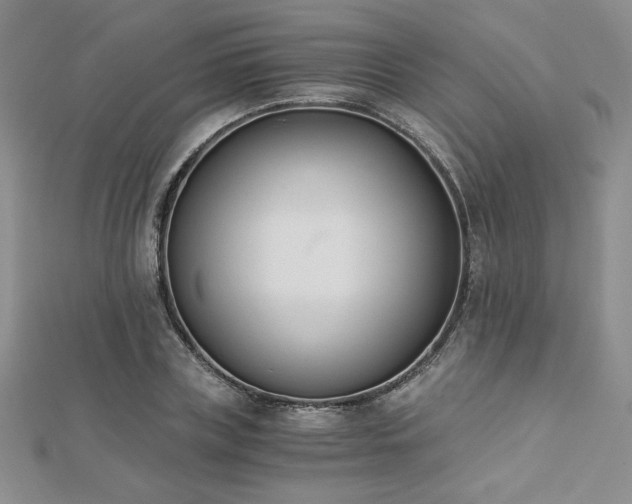 X0000113170835200909041320