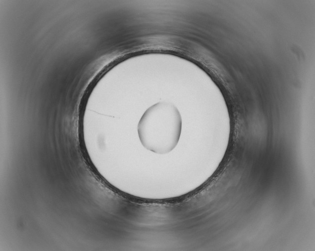 X0000113170836200909041320