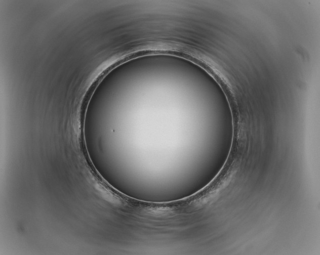 X0000113170837200909041320