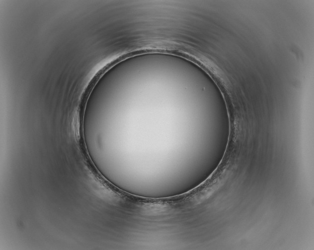 X0000113170838200909041320