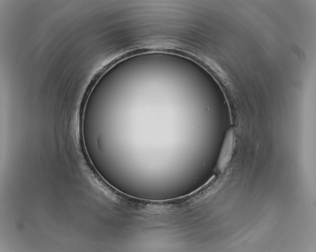 X0000113170840200909041320