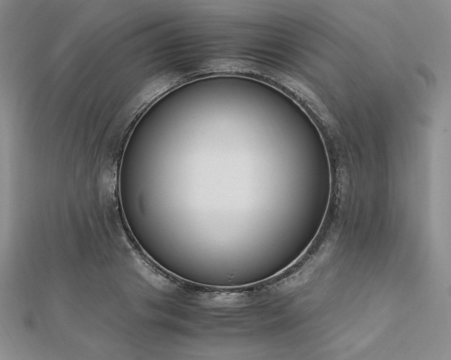 X0000113170841200909041320