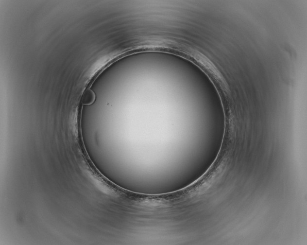 X0000113170842200909041320