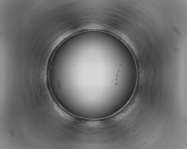 X0000113170845200909041320