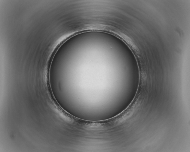 X0000113170846200909041320