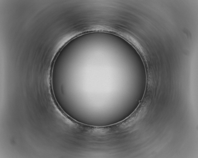X0000113170847200909041320