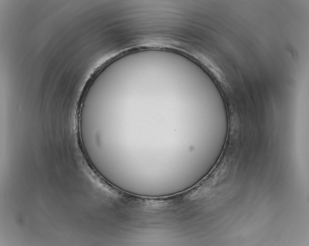 X0000113170848200909041320