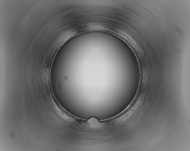 X0000113170849200909041320