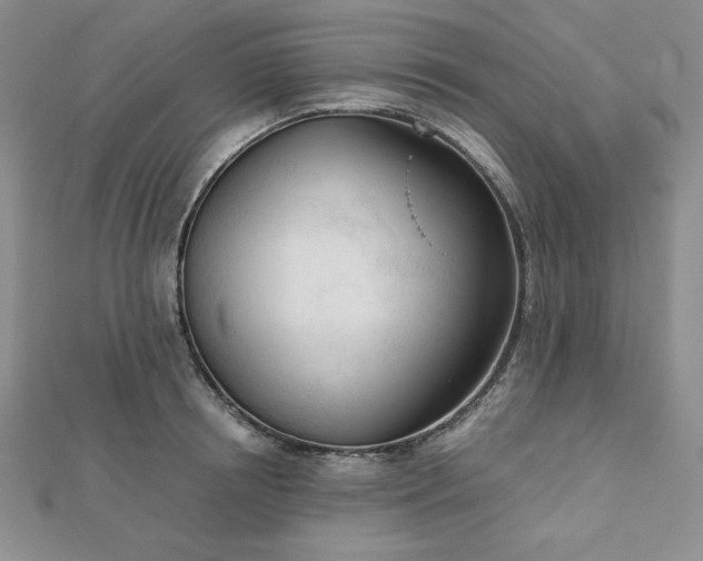 X0000113170850200909041320
