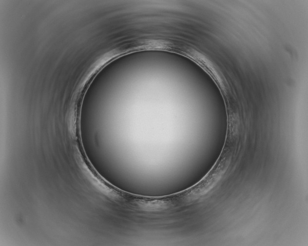 X0000113170851200909041320