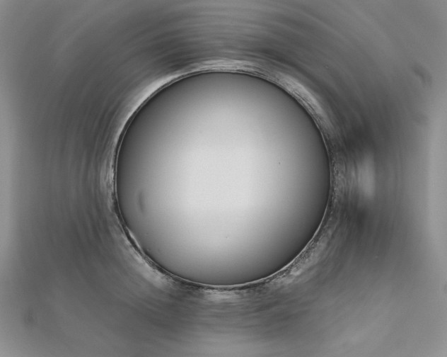X0000113170852200909041320