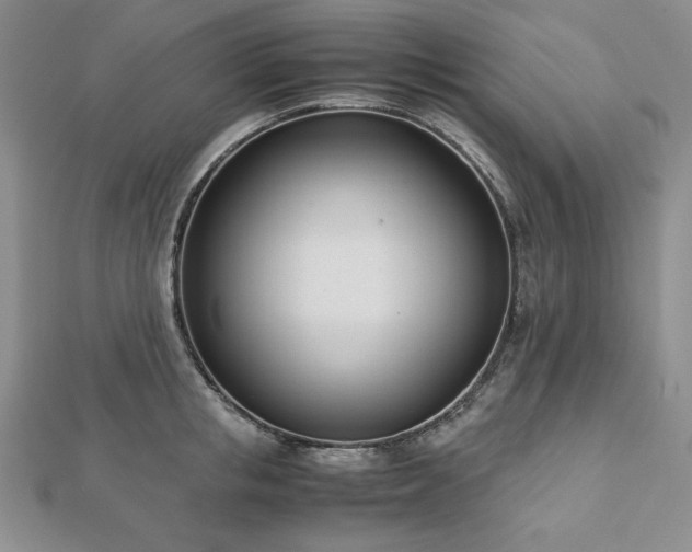 X0000113170853200909041320