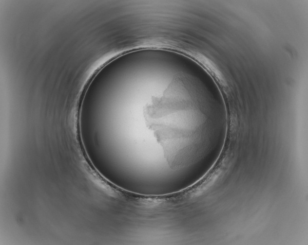 X0000113170854200909041320