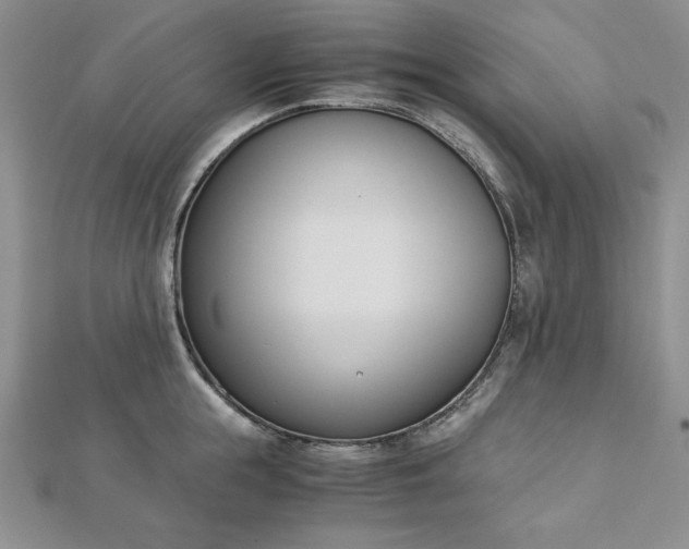 X0000113170855200909041320