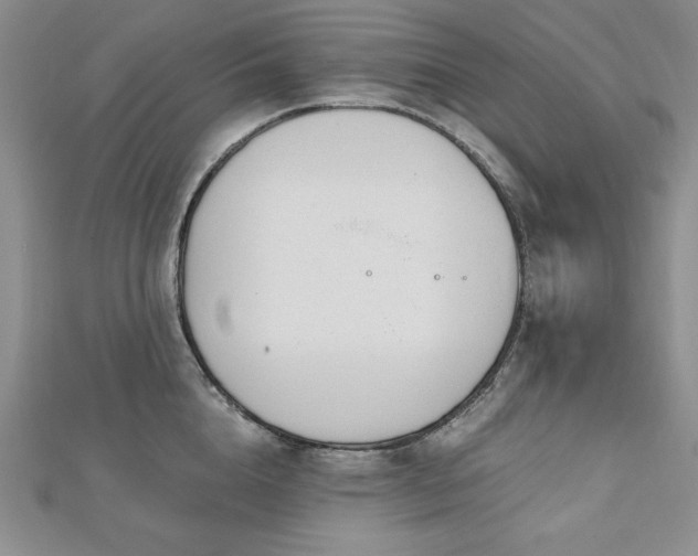 X0000113170856200909041320