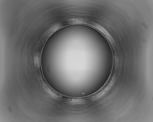 X0000113170857200909041320