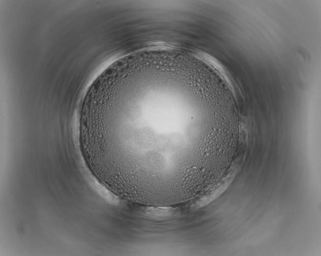 X0000113170859200909041320