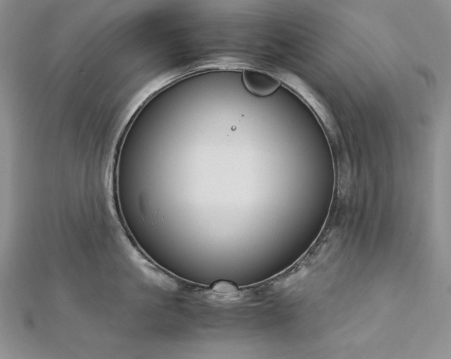 X0000113170861200909041320
