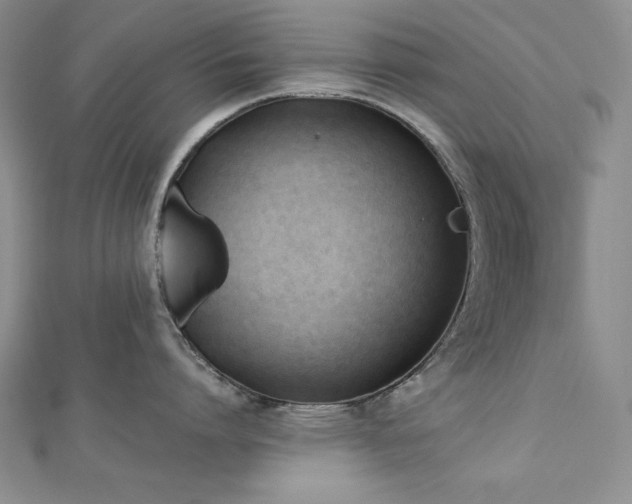 X0000113170864200909041320