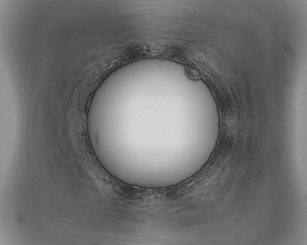 X0000113170865200909041320
