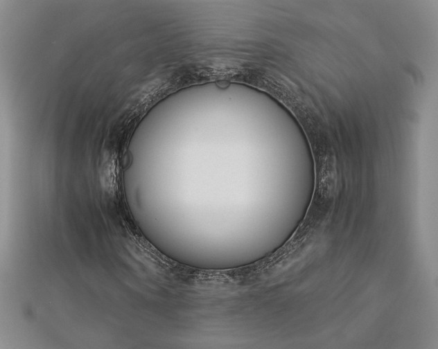 X0000113170866200909041320