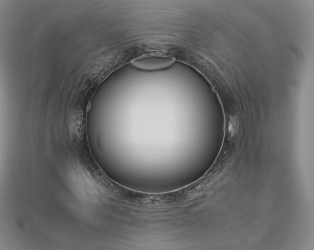 X0000113170867200909041320