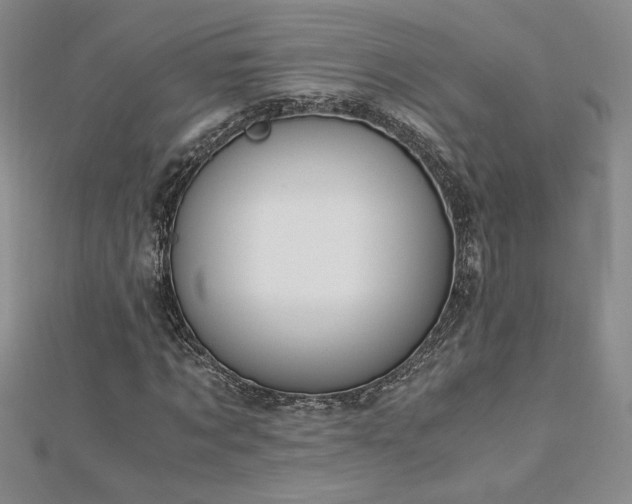 X0000113170869200909041320